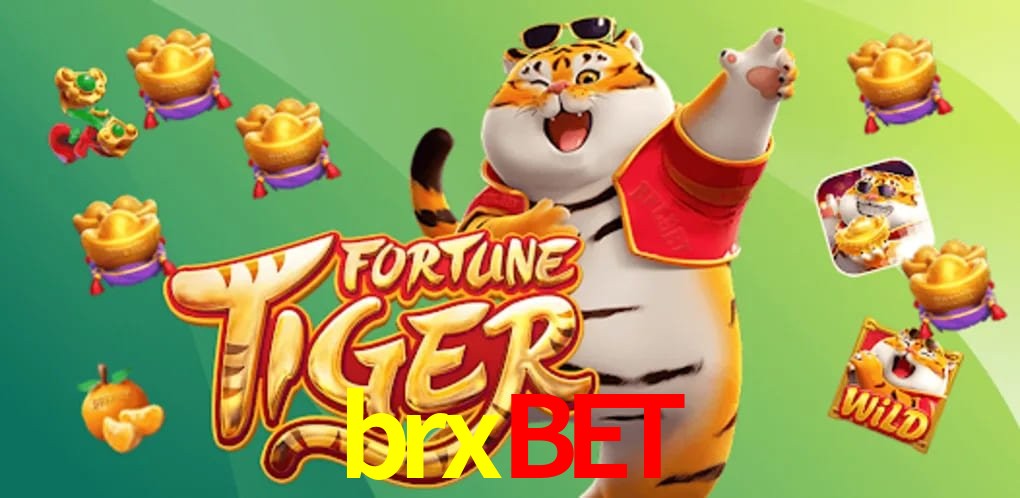 Crash Games Strategies brxbet